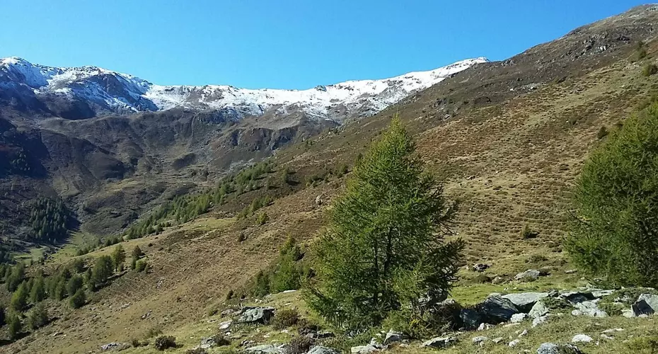 Bergsommer