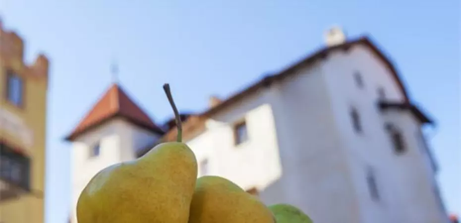 Wunderfrucht aus dem Vinschgau: Die Palabirne