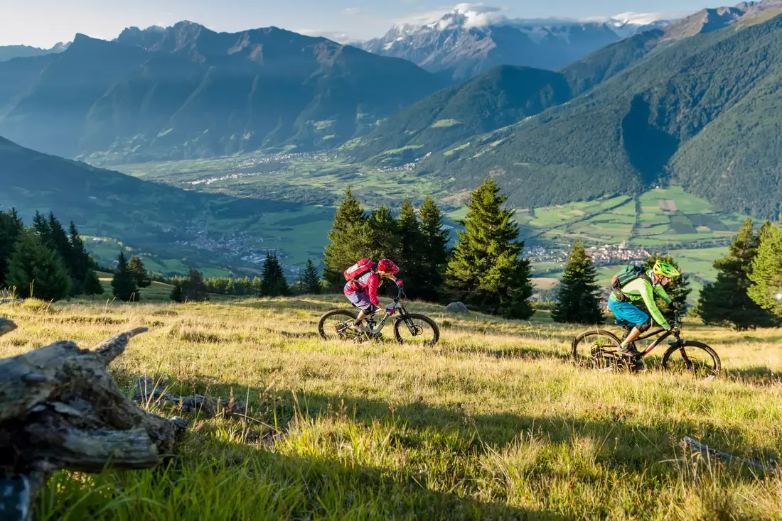 gordigear dachzelt kaufen Vorzelt für Tanami Plus Thule Chariot, Sport, Cross, Farbe:Schwarz silber fox 40