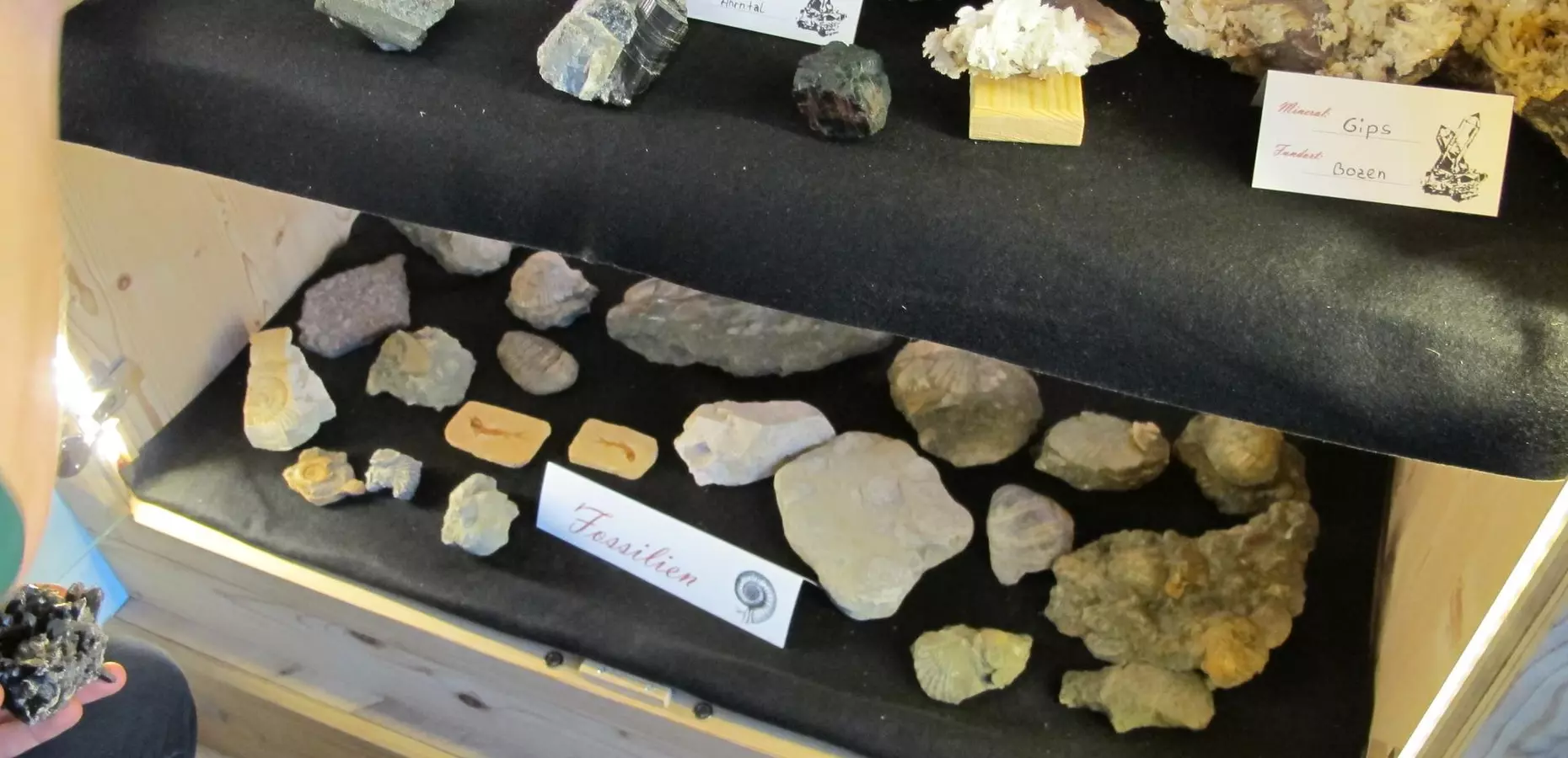 Mineralien Sammlung