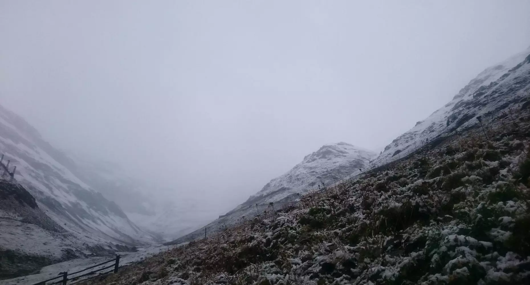 Nebel