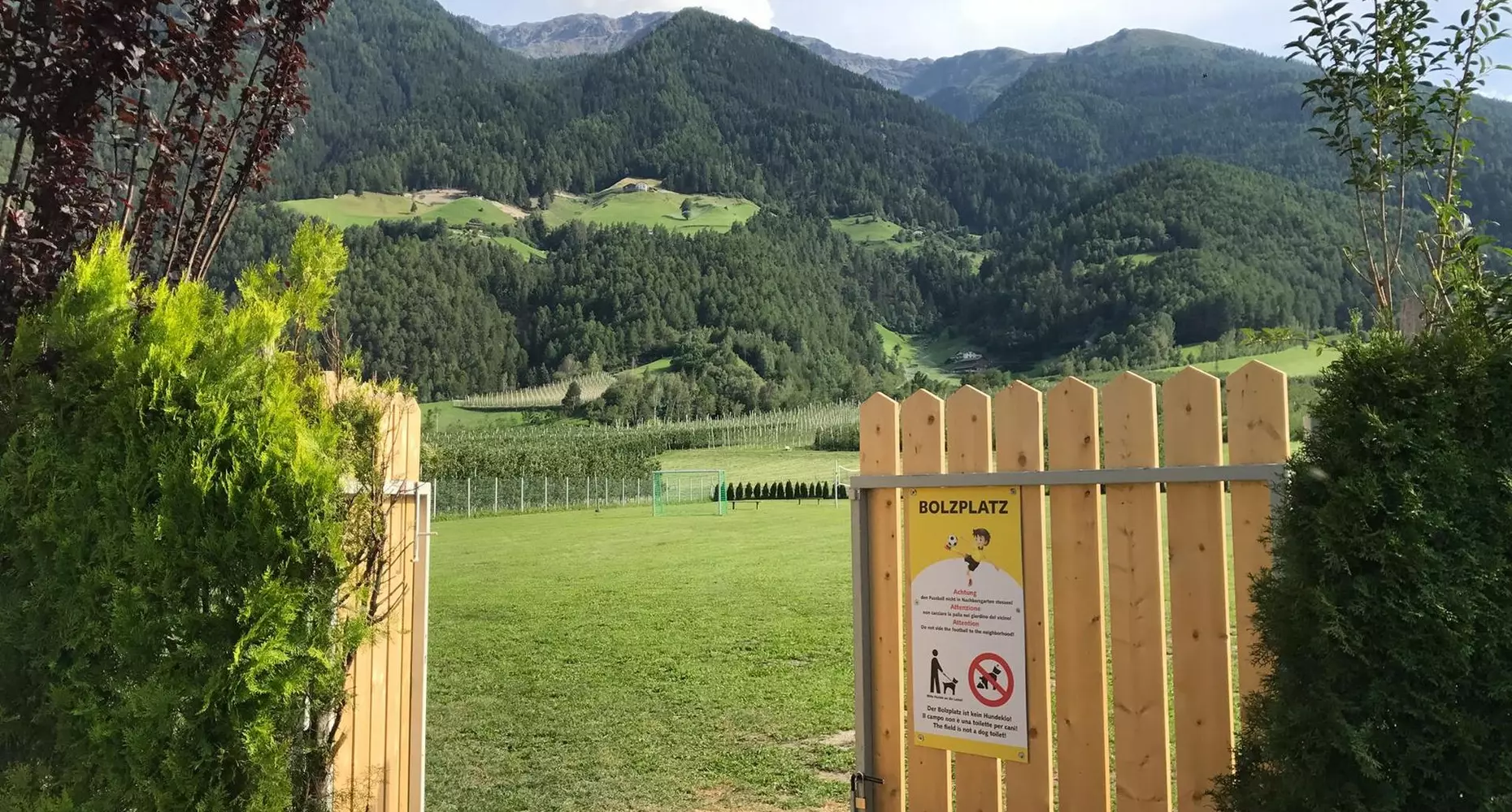 Camping-Sägemühle-Premium-Ausgang