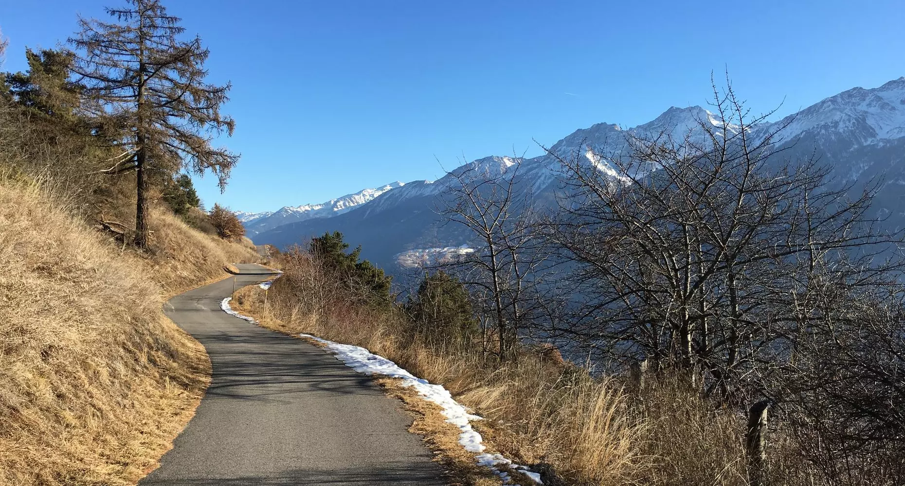 Frühling-Vinschgau