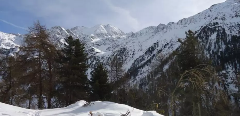 Schneeschuhwanderung zur Matscher Alm